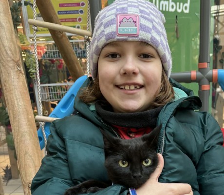 Cicás kávézóba várja az önkénteseket vasárnap a HEROSZ Fehérvári Állatotthona